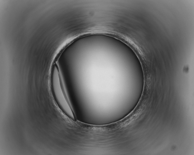 X0000098201469200805151217