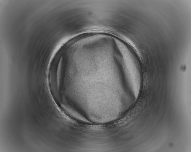 X0000098201472200805151217