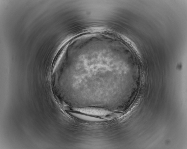X0000098201473200805151217