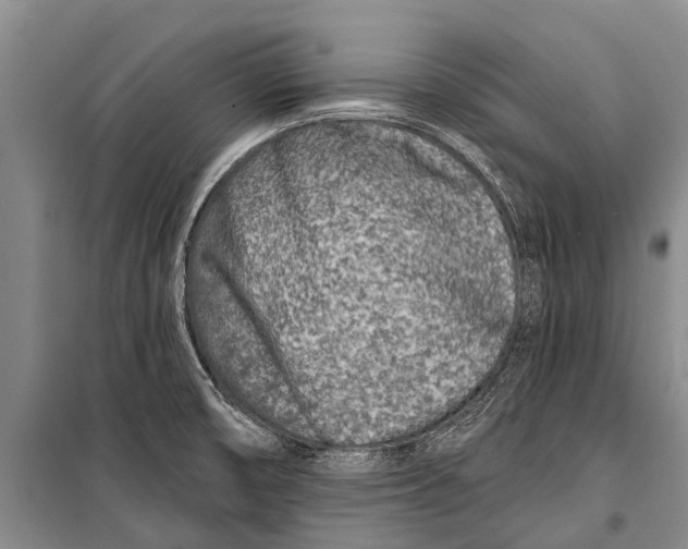 X0000098201474200805151217