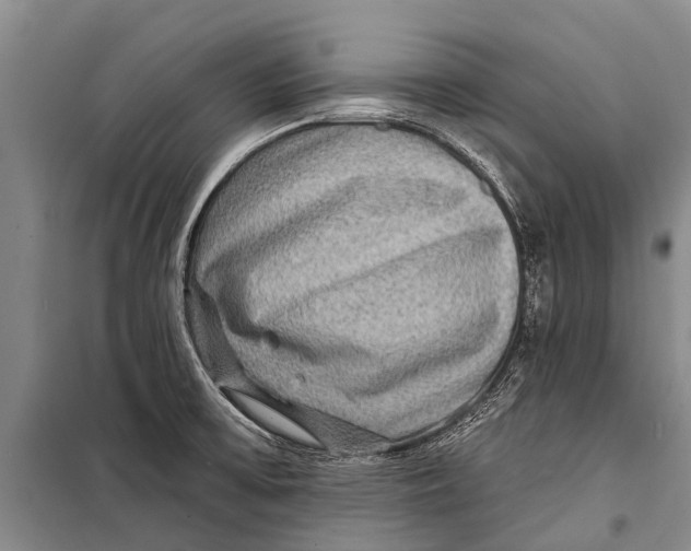 X0000098201475200805151217
