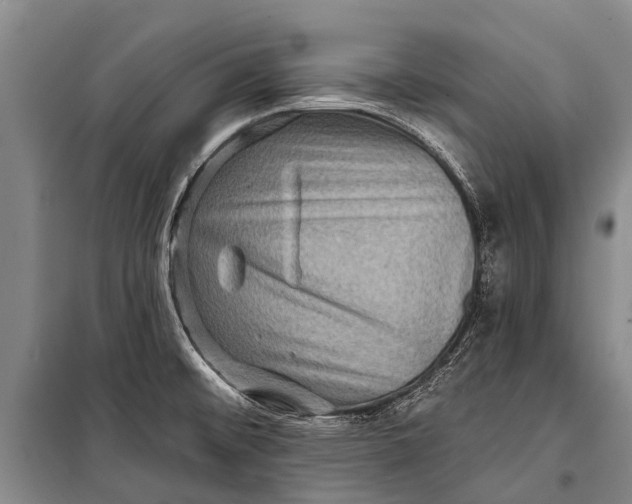 X0000098201476200805151217