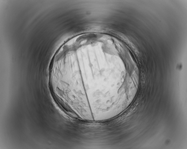X0000098201479200805151217