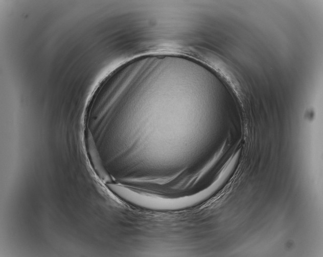 X0000098201480200805151217
