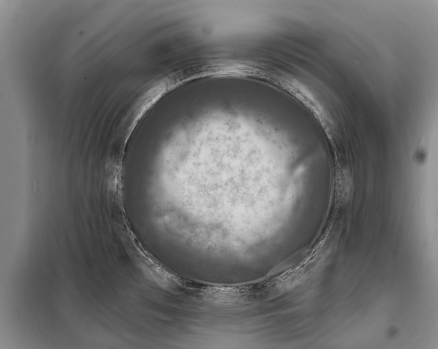X0000098201481200805151217