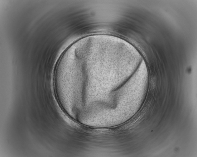 X0000098201482200805151217