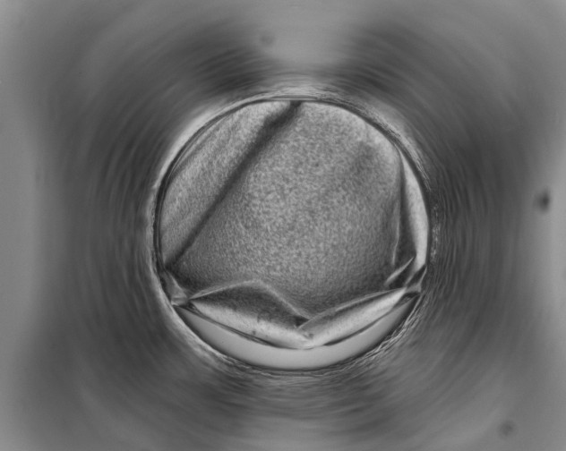 X0000098201483200805151217