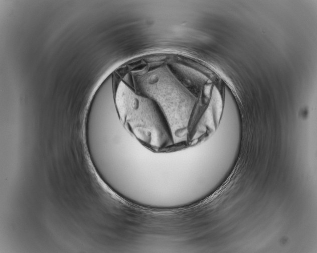X0000098201484200805151217