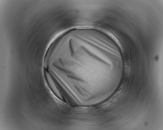 X0000098201485200805151217