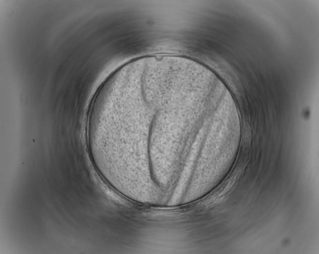 X0000098201486200805151217