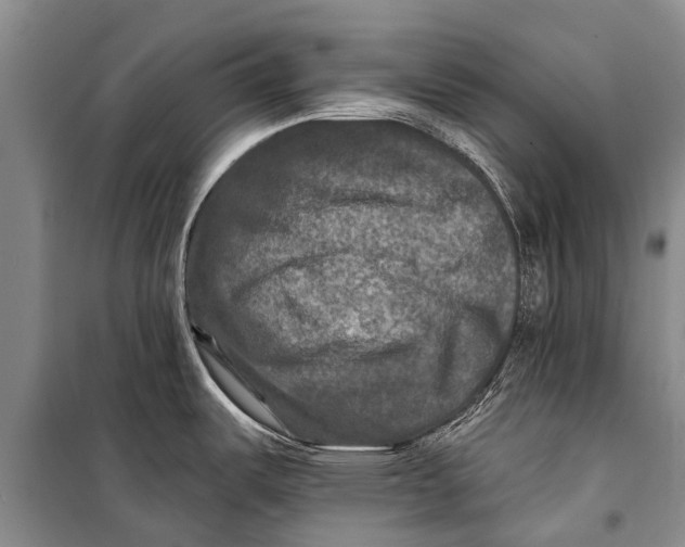 X0000098201487200805151217