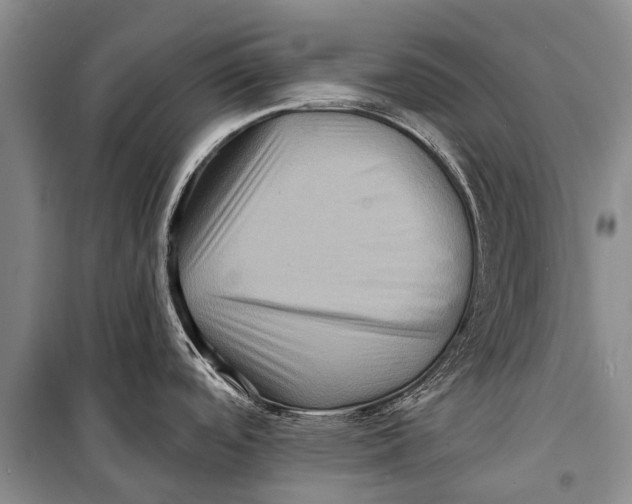 X0000098201488200805151216
