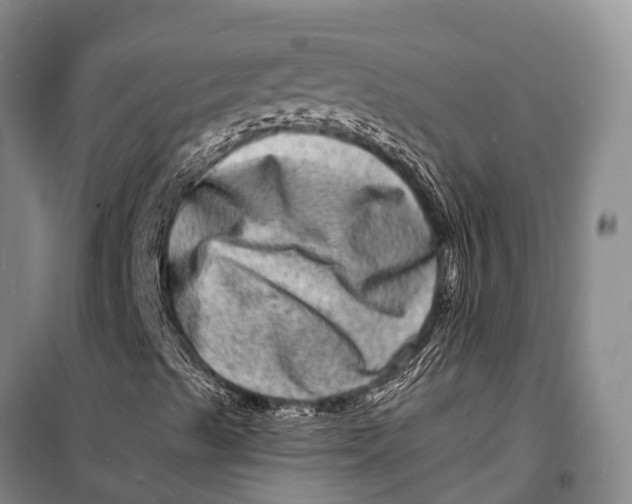 X0000098201489200805151216