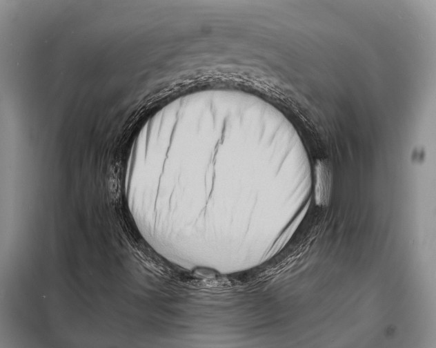 X0000098201491200805151216