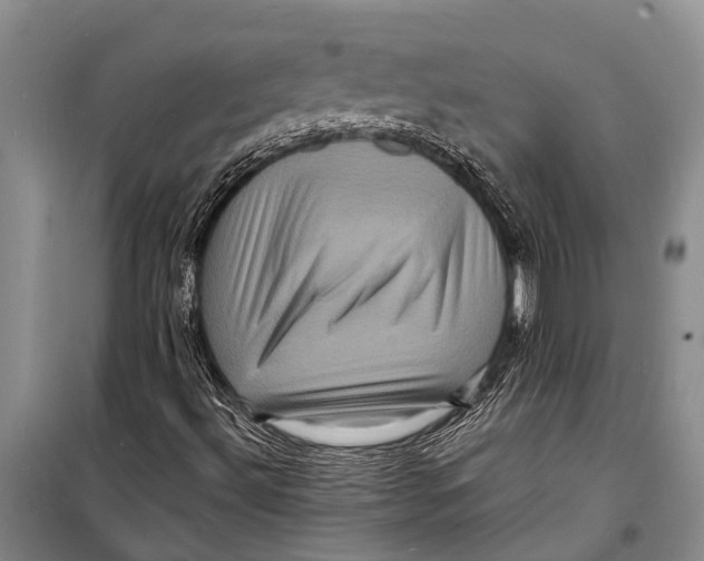 X0000098201492200805151216