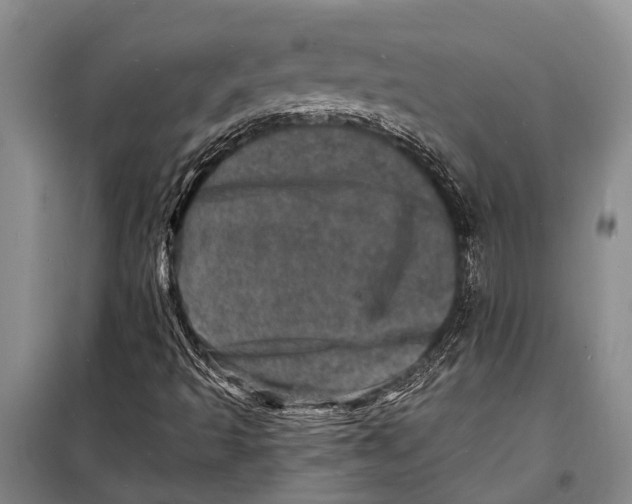 X0000098201493200805151216