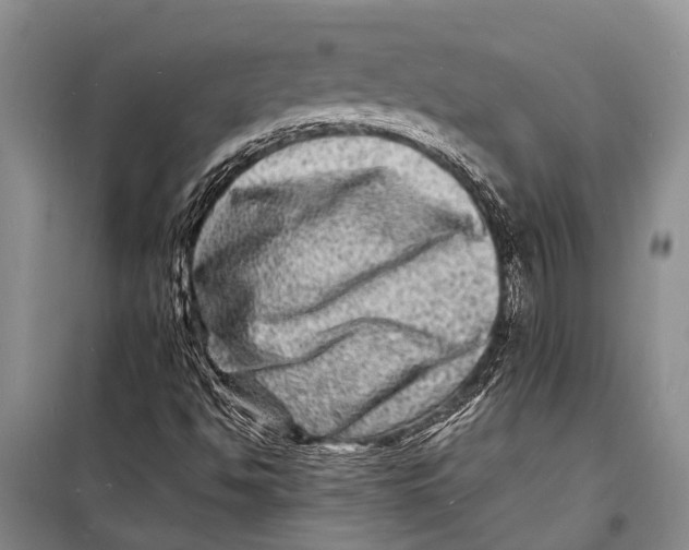 X0000098201494200805151216