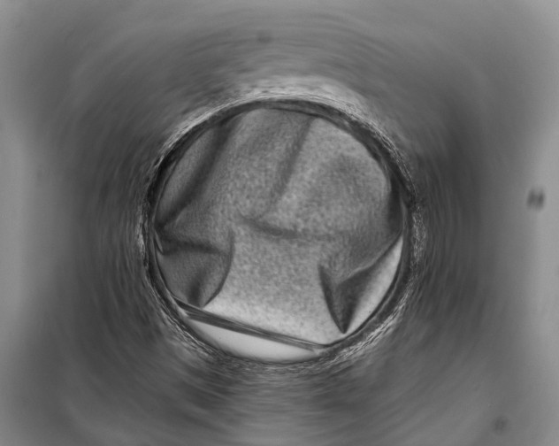 X0000098201497200805151216