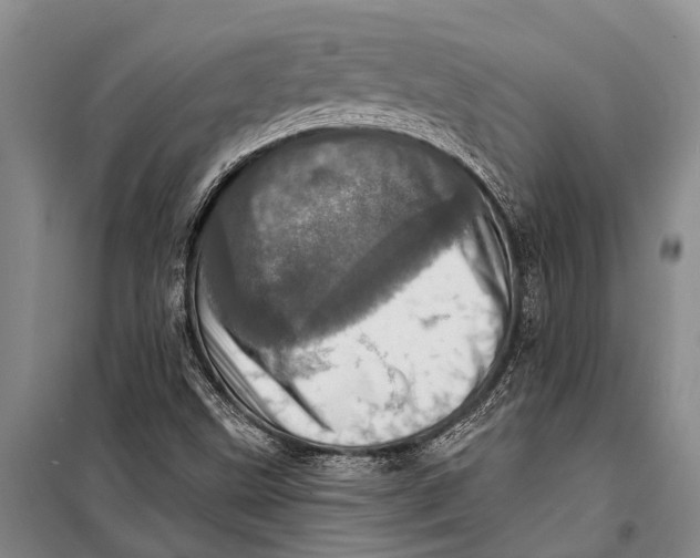 X0000098201499200805151216