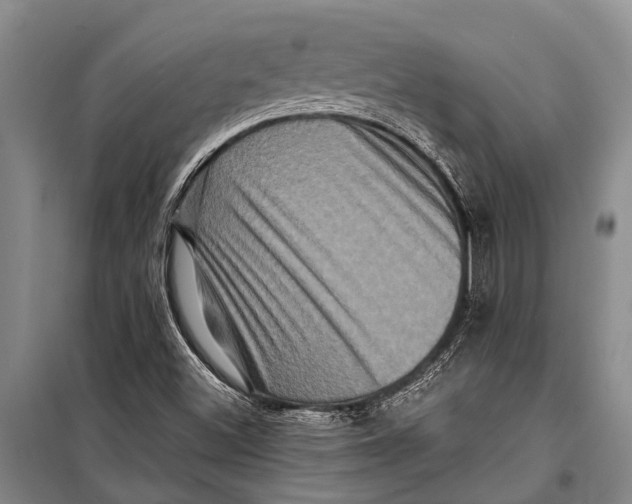 X0000098201500200805151216