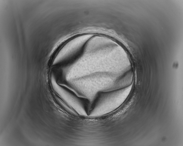 X0000098201501200805151216
