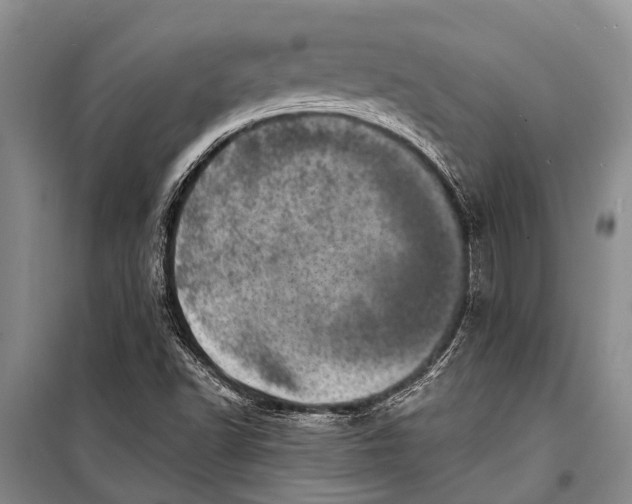 X0000098201502200805151216