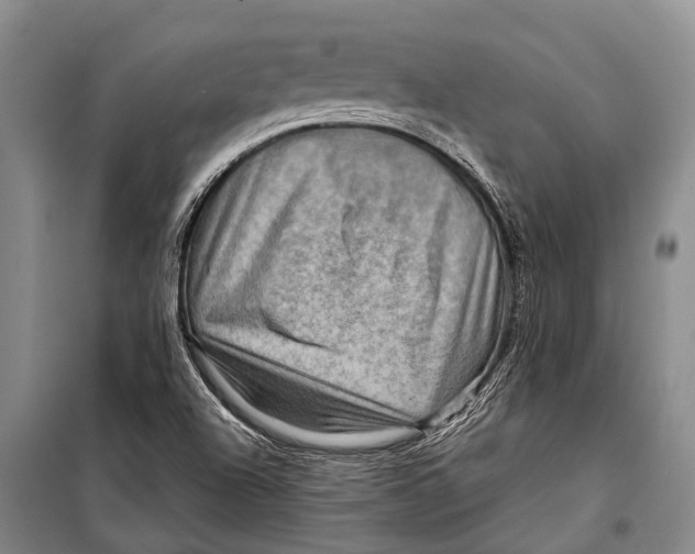 X0000098201504200805151216
