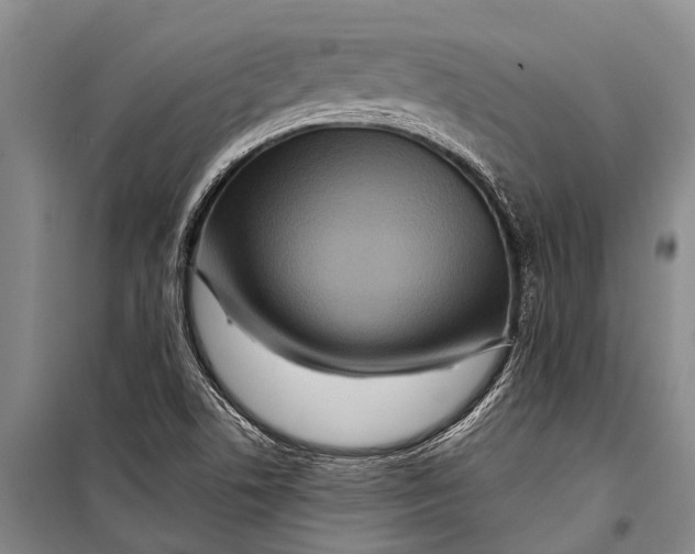 X0000098201506200805151216