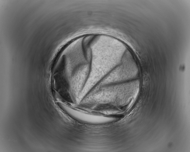 X0000098201507200805151216
