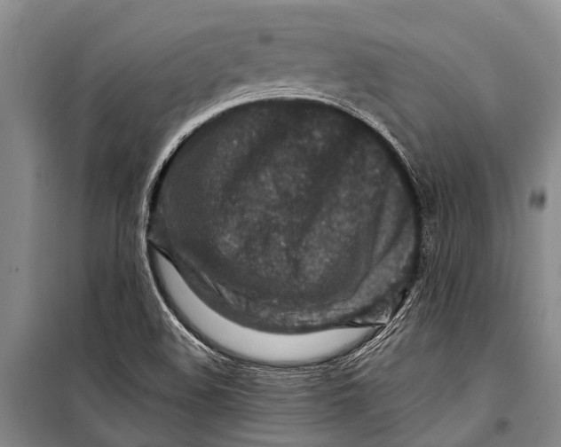 X0000098201508200805151216