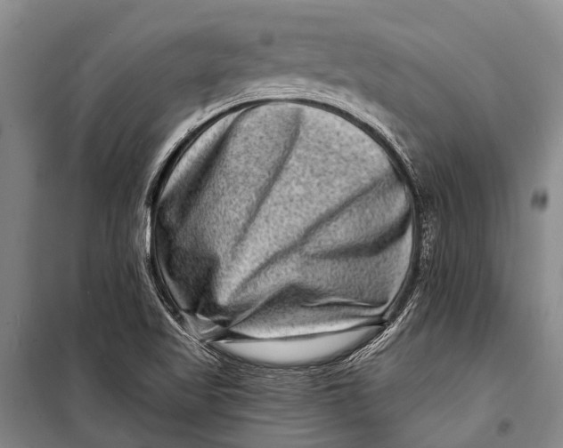 X0000098201509200805151216