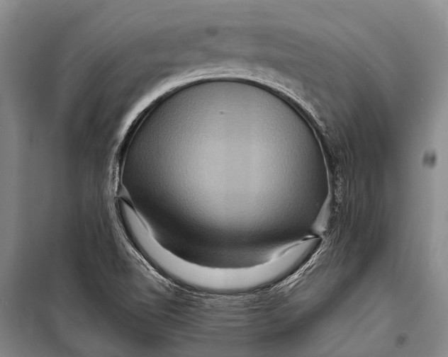 X0000098201510200805151216