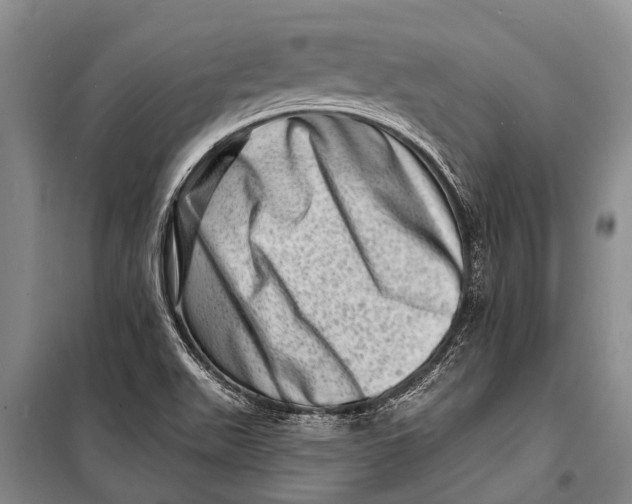 X0000098201511200805151216