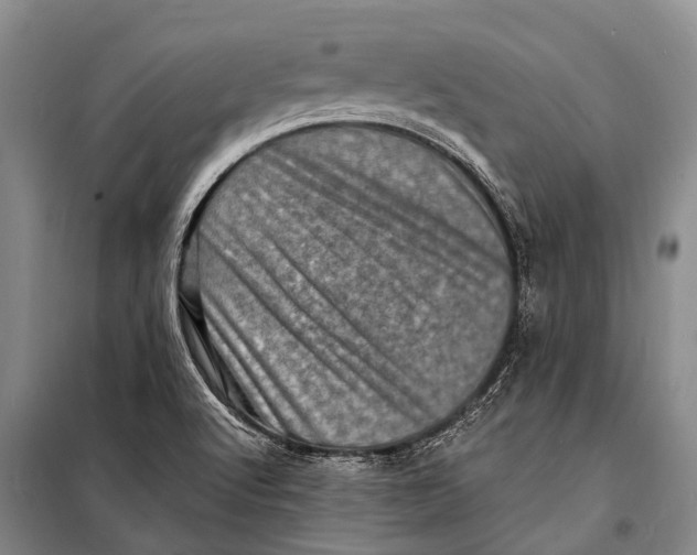 X0000098201512200805151216