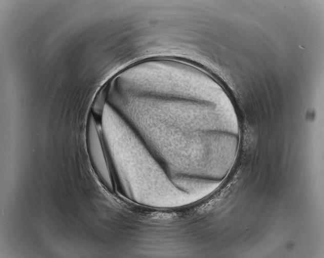 X0000098201513200805151216