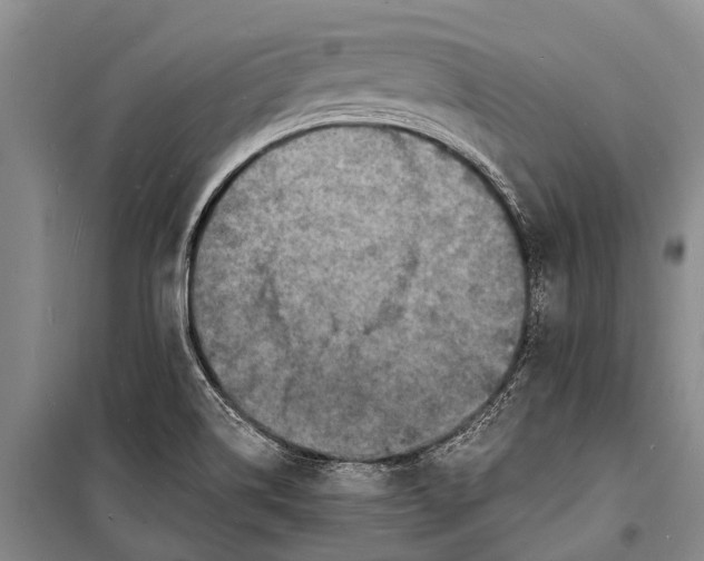 X0000098201514200805151216