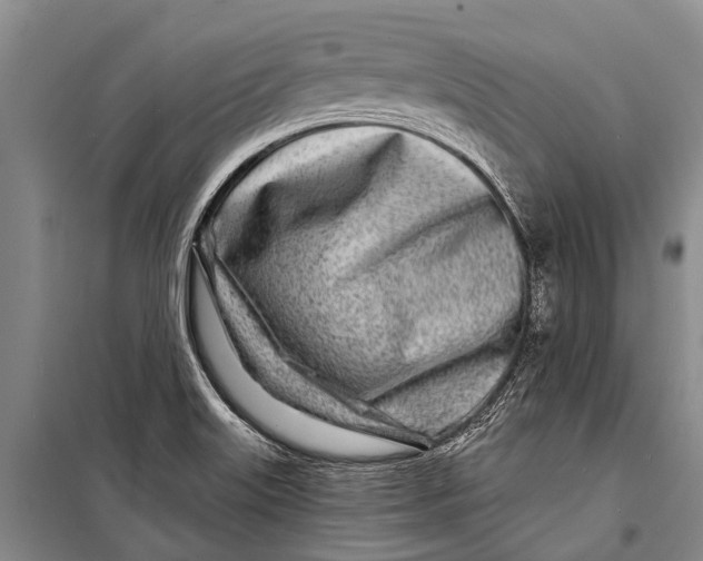 X0000098201515200805151216