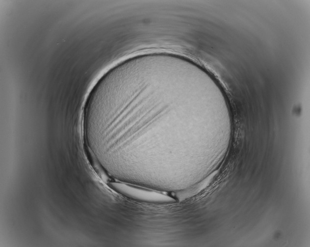 X0000098201516200805151216