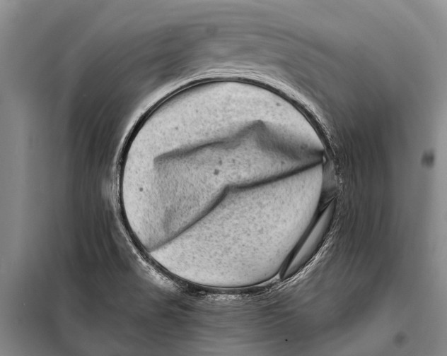 X0000098201517200805151216