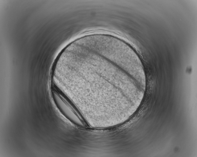 X0000098201518200805151216