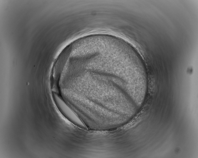 X0000098201519200805151216