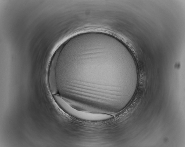 X0000098201520200805151216