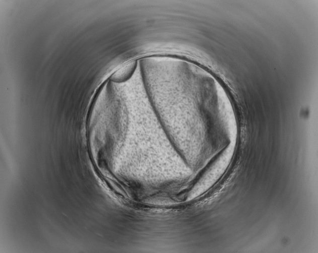 X0000098201521200805151216
