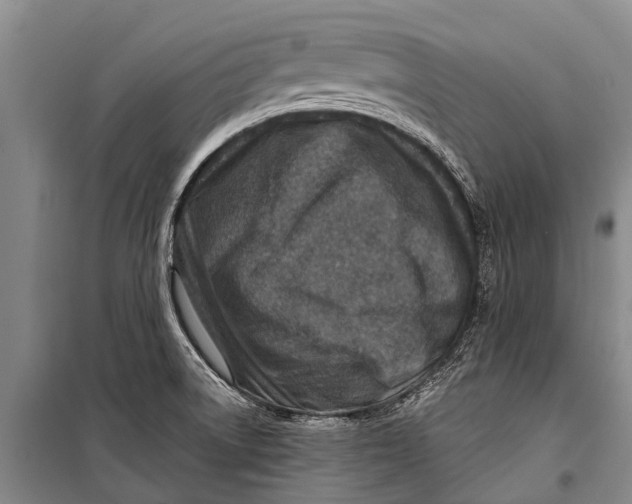 X0000098201522200805151216