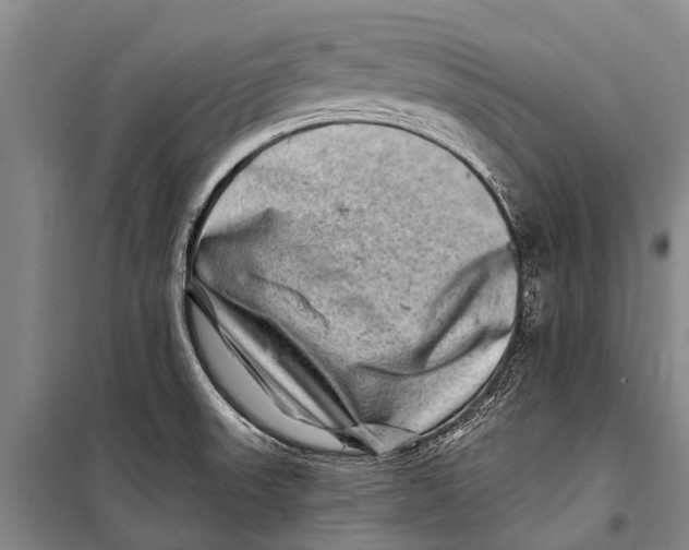 X0000098201523200805151216
