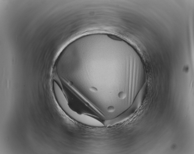 X0000098201524200805151216