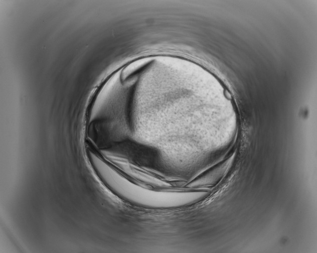 X0000098201525200805151216