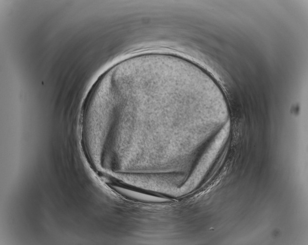 X0000098201526200805151216