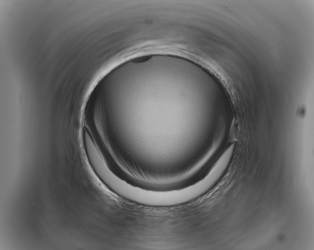 X0000098201528200805151216
