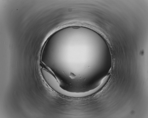 X0000098201530200805151216